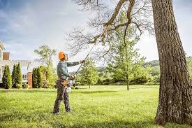 How Our Tree Care Process Works  in  Ashtabula, OH